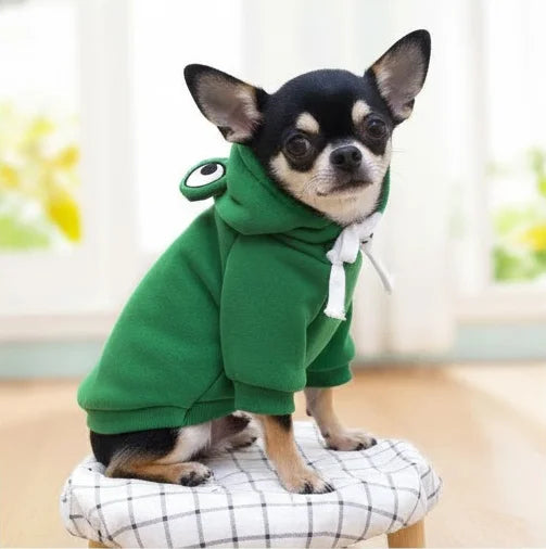 A small black and tan Chihuahua sitting on a plaid stool wearing the cozy green frog fleece hoodie.