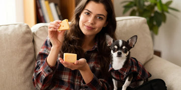 Woman and black tan Chihuahua wearing matching plaid shirts posing for bonding photo with treats