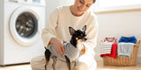 Woman putting clean dog sweater on black and silver Chihuahua in bright laundry room