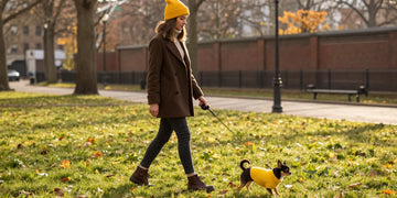 Stylish woman walking chihuahua in vibrant yellow dog outfit colors.