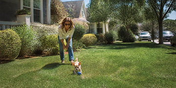 A woman playing with her chihuahua using a durable TPR dog ball outdoors.