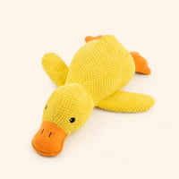 Squeaky & Plush Toys