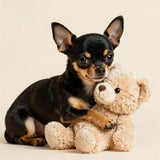 Squeaky & Plush Toys