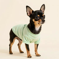 Small Dog Clothing & Apparel
