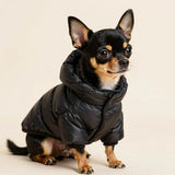 winter coats and jackets for small dogs