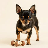 dog  interactive and puzzle toys 