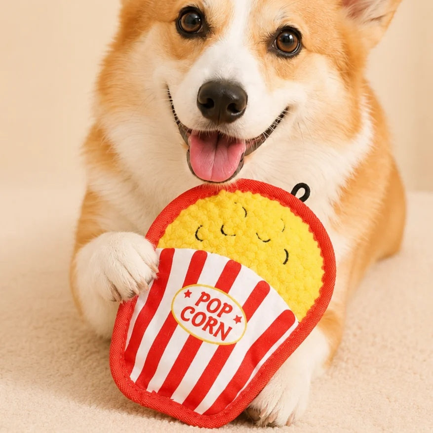 Happy Corgi holding a red and white striped popcorn plush squeaky dog toy with its paws, smiling.