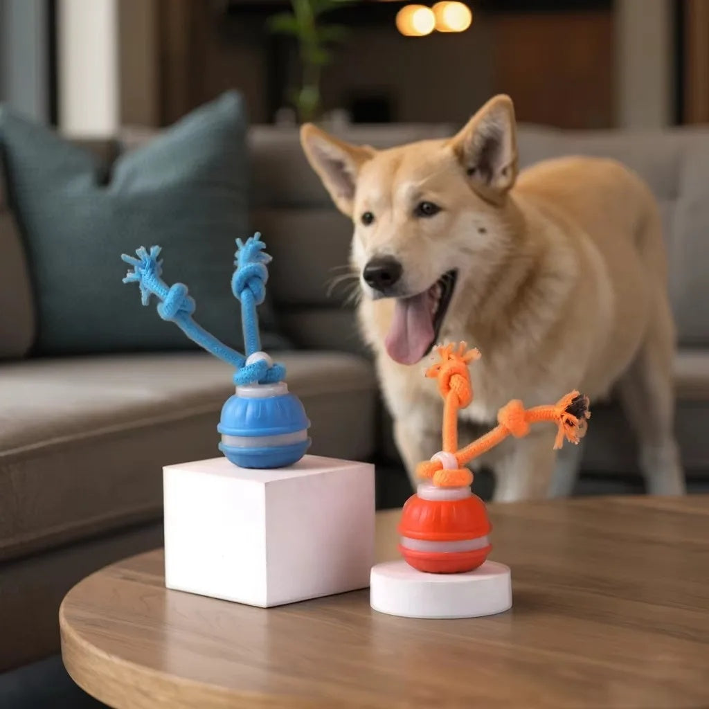 Happy dog sitting behind blue and orange smart rolling ball toys with durable rope handles on a table.