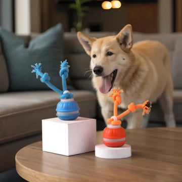 Happy dog sitting behind blue and orange smart rolling ball toys with durable rope handles on a table.