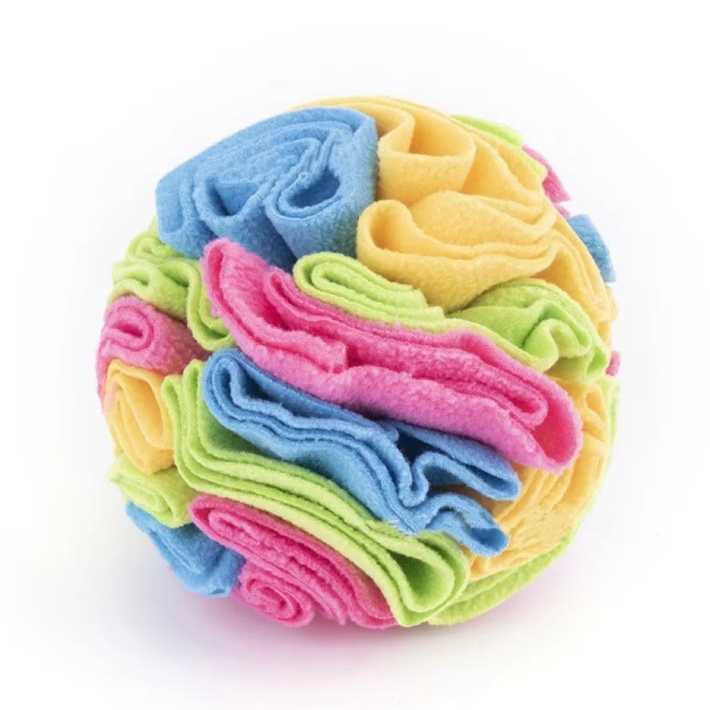 White French Bulldog happily sniffing and playing with a colorful fleece snuffle ball toy