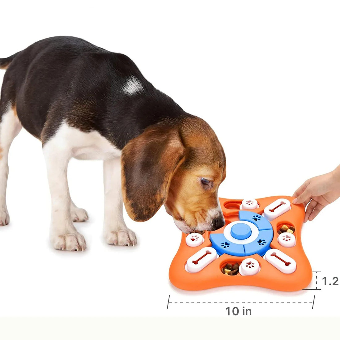 A beagle puppy using its nose to slide the orange and blue interactive dog puzzle toy with bone-shaped sliders.