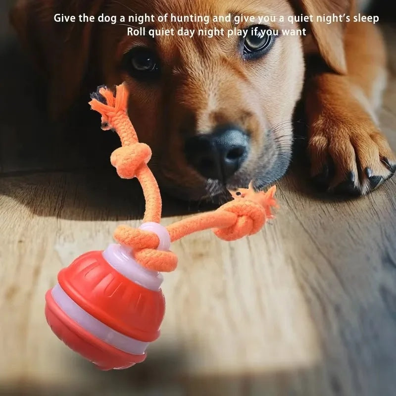 Adorable puppy lying down and looking closely at the orange smart rolling ball chew toy on a wooden floor.