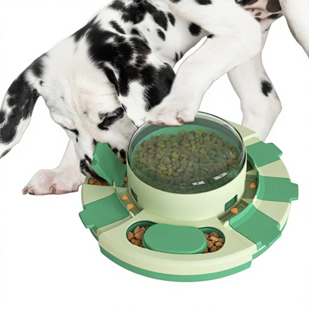 Dalmatian puppy playing with the green and light green circular puzzle slow feeder bowl using its paw and snout.
