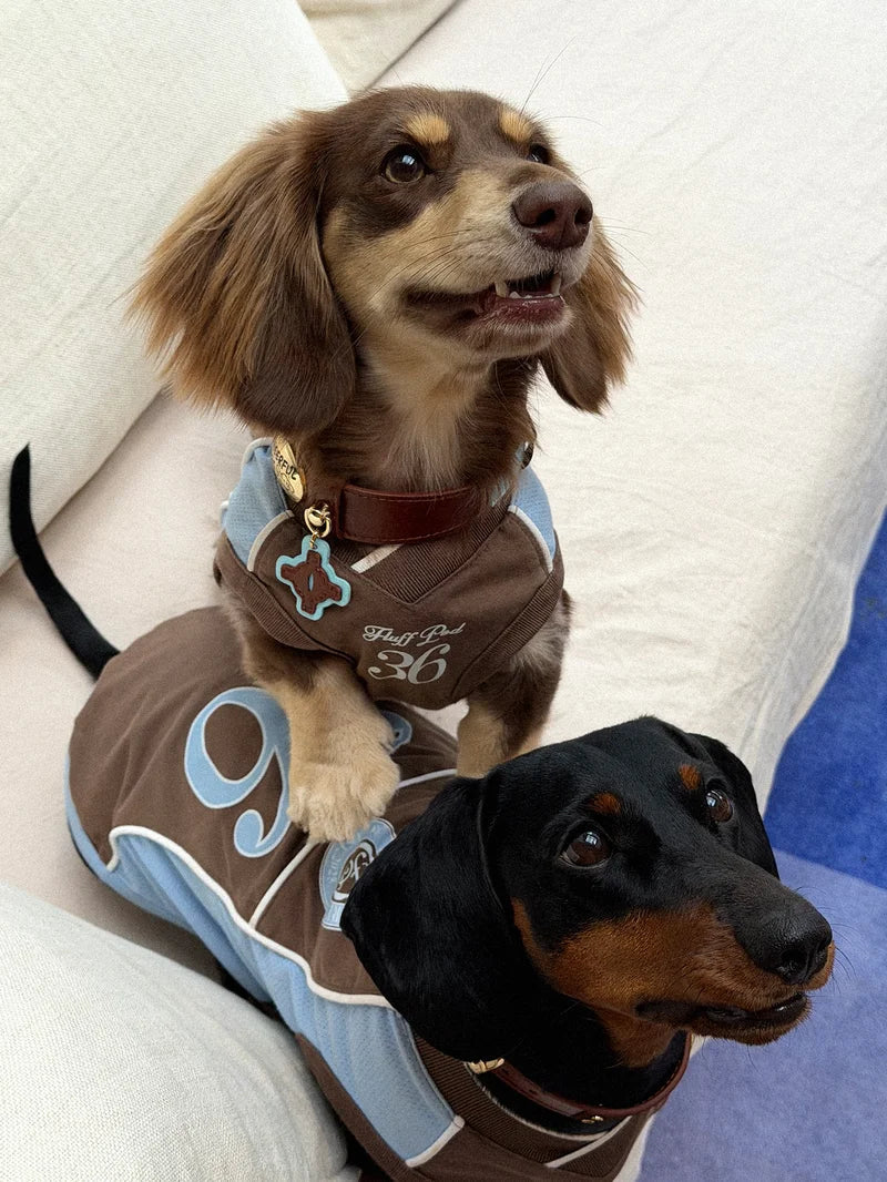 Cooling Athletic Dog Vest