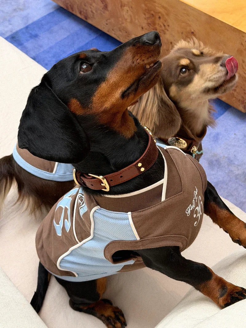 Cooling Athletic Dog Vest