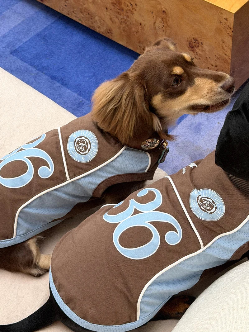 Cooling Athletic Dog Vest