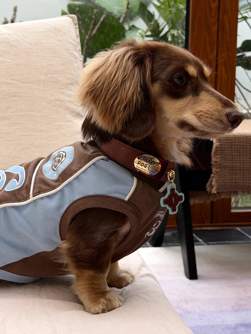 Cooling Athletic Dog Vest