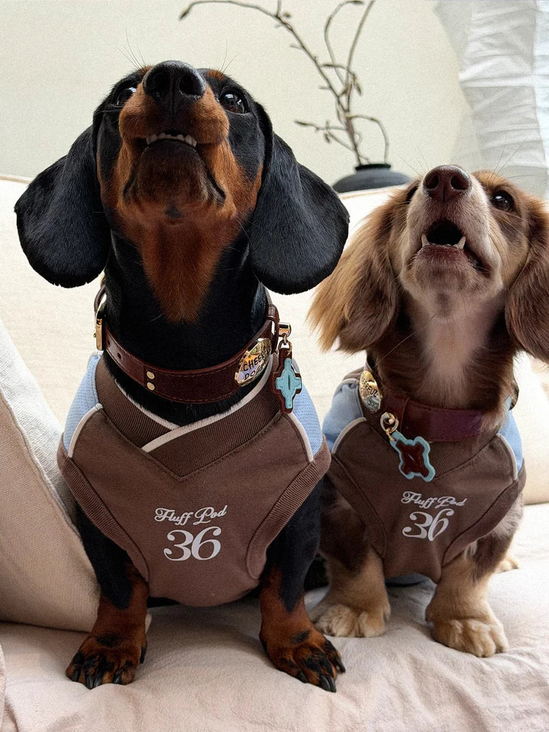 Cooling Athletic Dog Vest