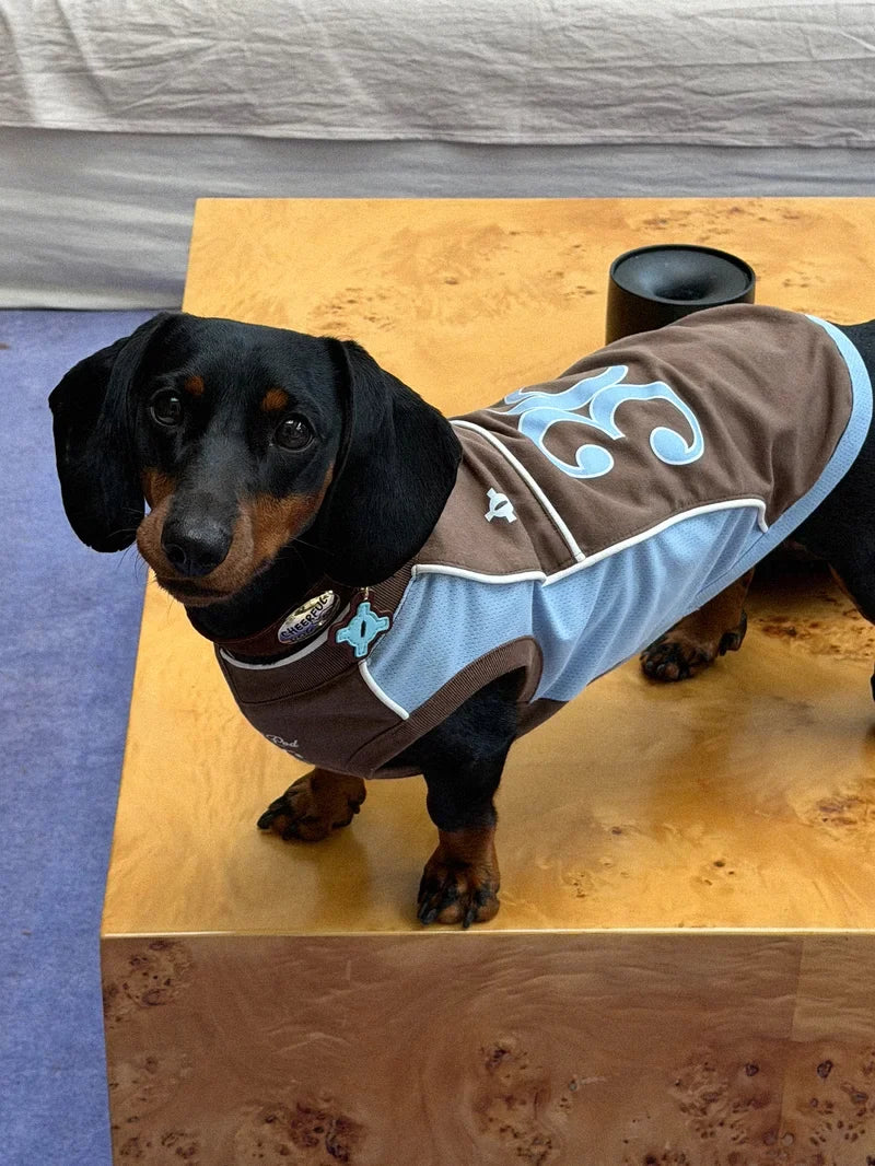 Cooling Athletic Dog Vest