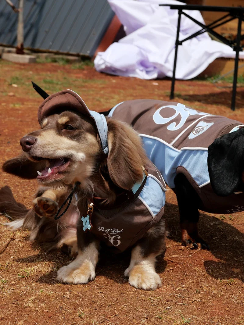 Cooling Athletic Dog Vest