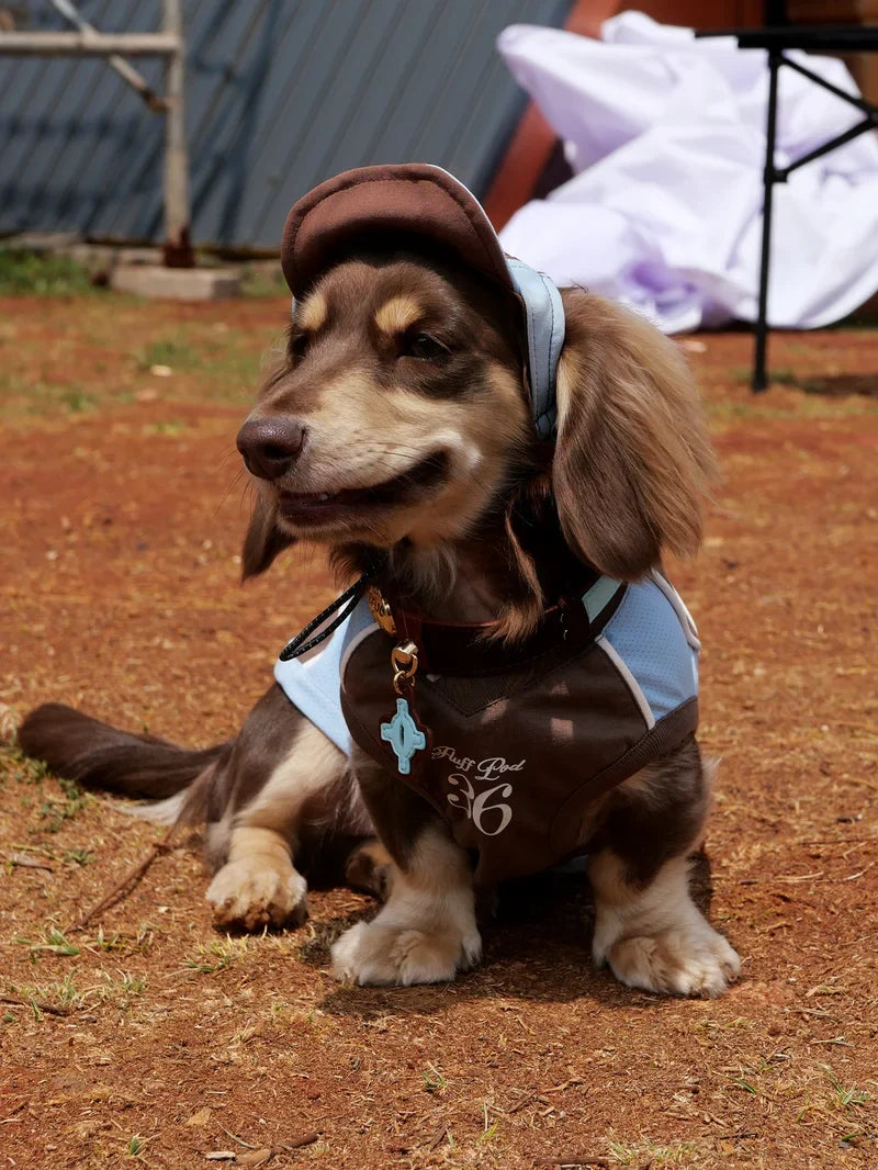 Cooling Athletic Dog Vest