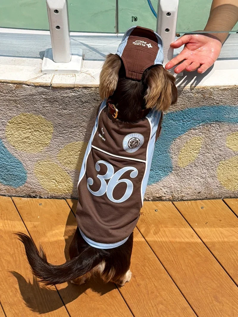 Cooling Athletic Dog Vest