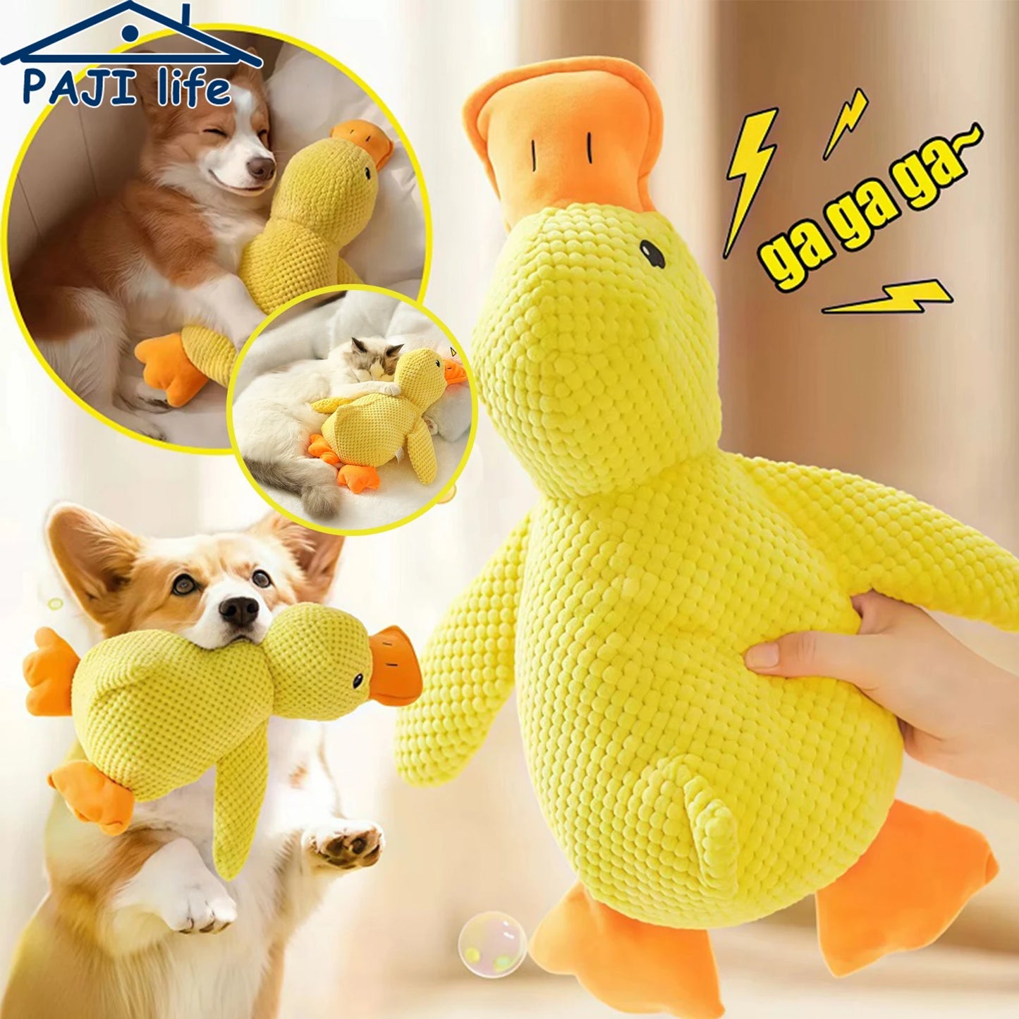 Yellow plush squeaky duck dog toy being held, with cute corgi and cat cuddled up to their soft companion.