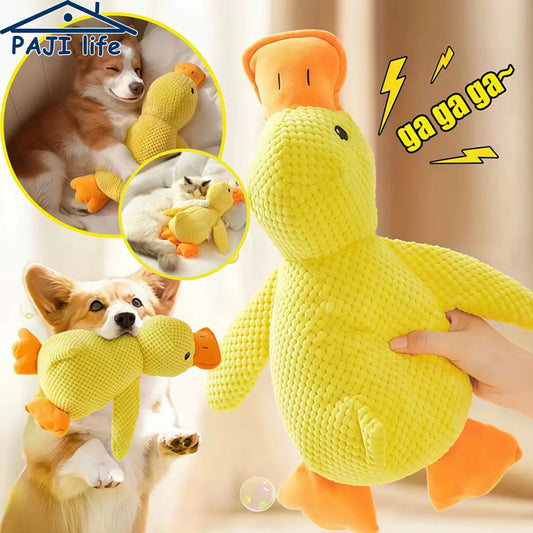 Yellow plush squeaky duck dog toy being held, with cute corgi and cat cuddled up to their soft companion.