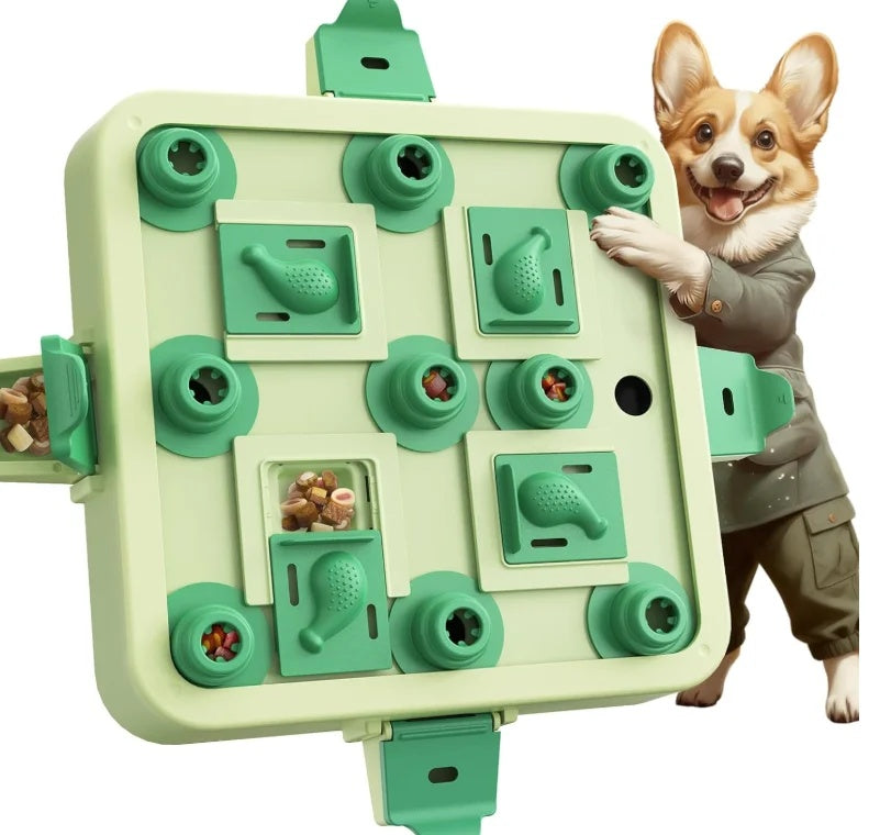 A happy Corgi dog posing next to the Gigletto green interactive dog puzzle toy showing sliding treats compartments.