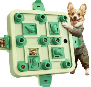 A happy Corgi dog posing next to the Gigletto green interactive dog puzzle toy showing sliding treats compartments.