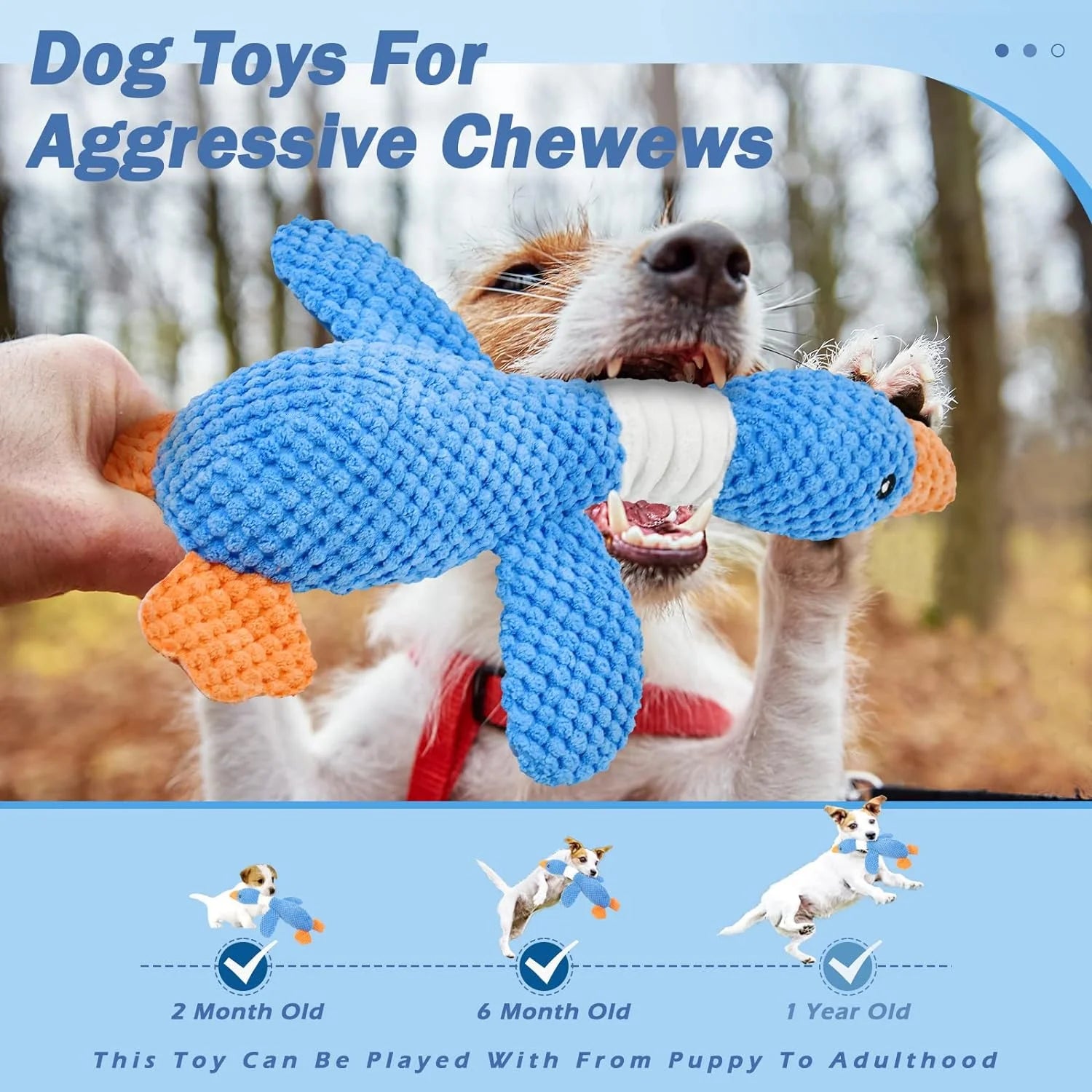 Jack Russell Terrier chewing on tough Gigletto blue goose squeaky toy. Durable plush chew toy suitable for puppies to adult dogs from 2 months to 1 year old.