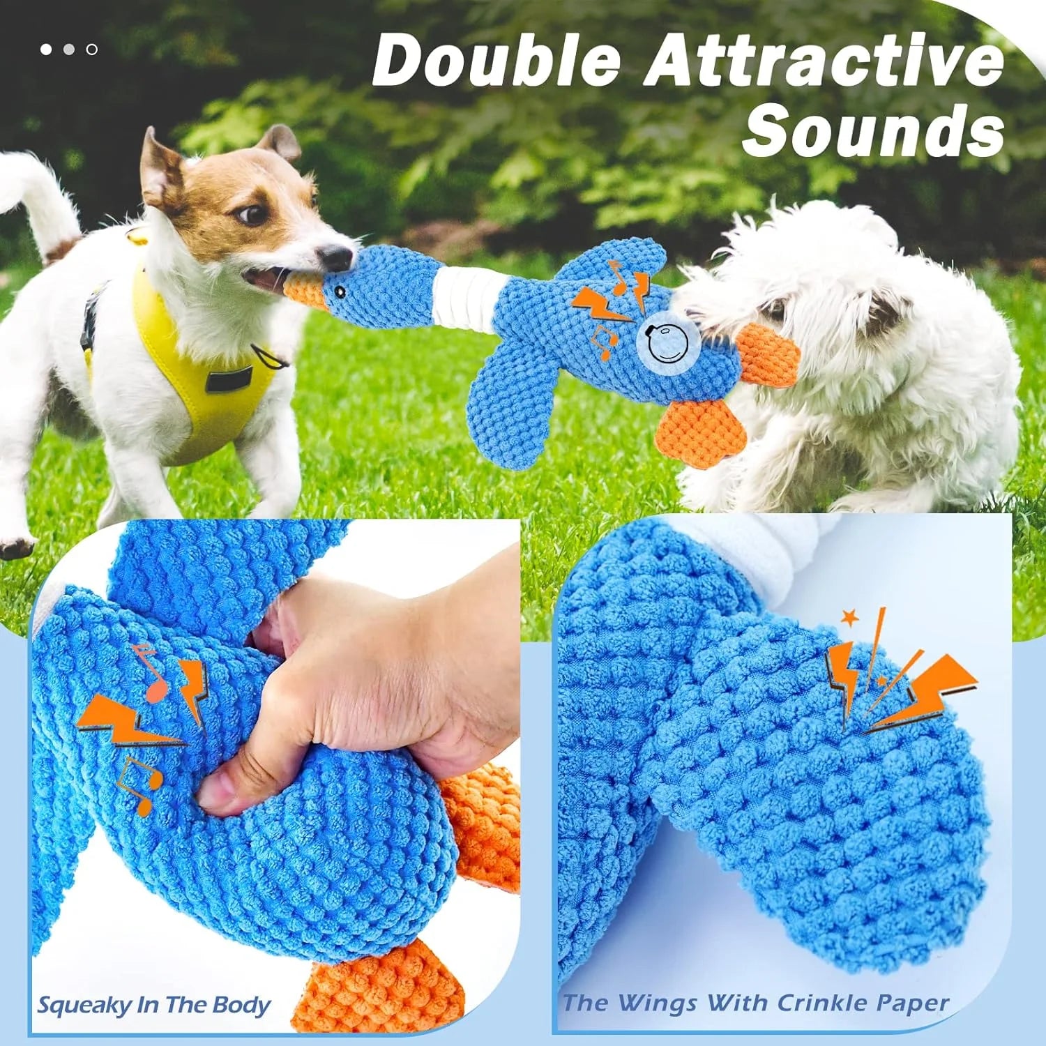 Interactive squeaky dog toy diagram showing built-in squeaker in the body and crinkle paper in the wings. Small dogs playing tug of war with the noisy blue goose plush.