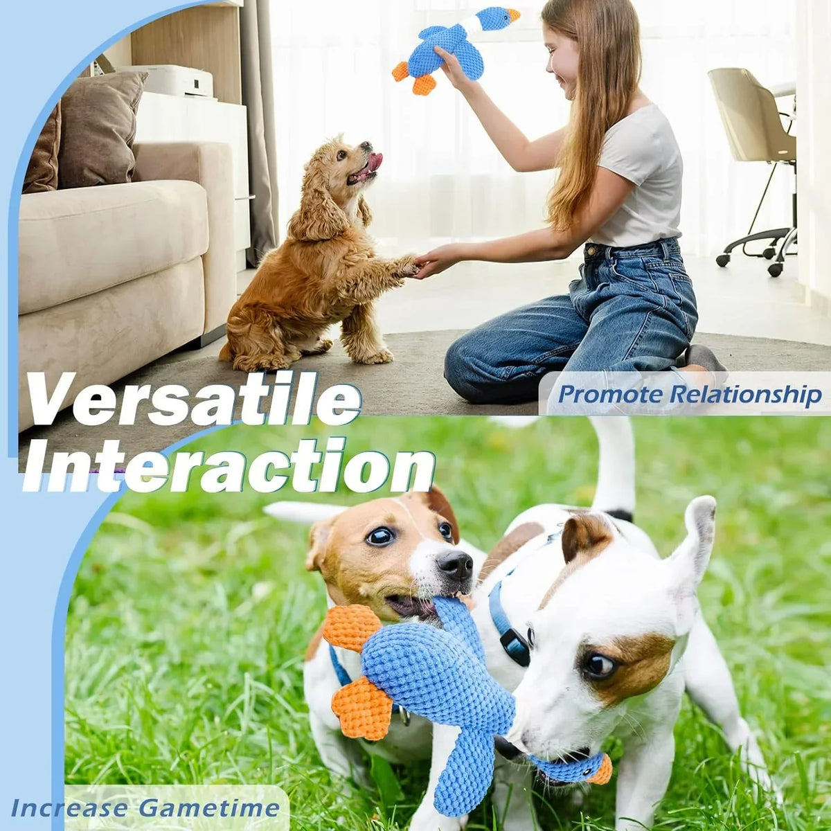 Owner playing fetch with Cocker Spaniel using Gigletto goose toy to promote relationship. Two small dogs engaging in interactive play and tug of war.