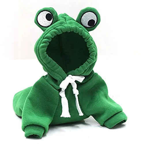 Chihuahua wearing a green frog fleece dog hoodie with 3D eyes on the hood, looking directly at the camera.