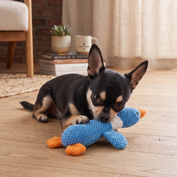 Blue Goose Plush Dog Toy for Puppies