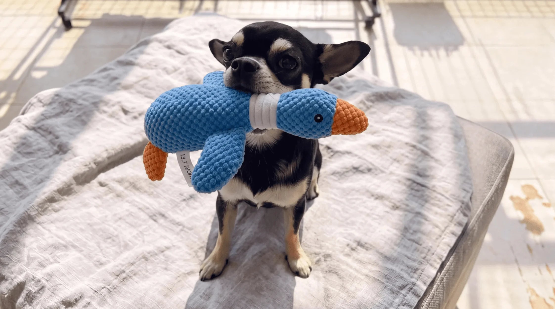 slider image 1621243260e1af0c20-0