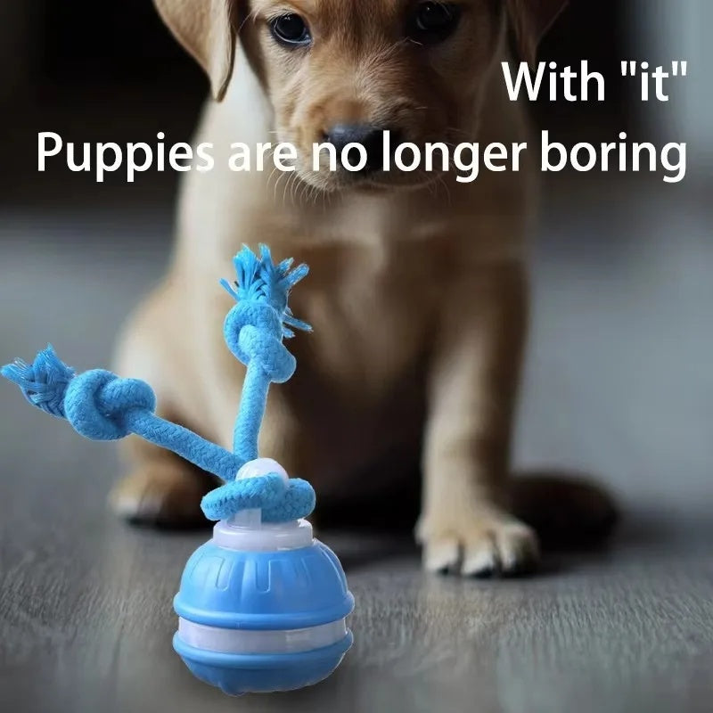 Cute puppy looking curiously at the blue smart rolling ball interactive dog toy on the floor.