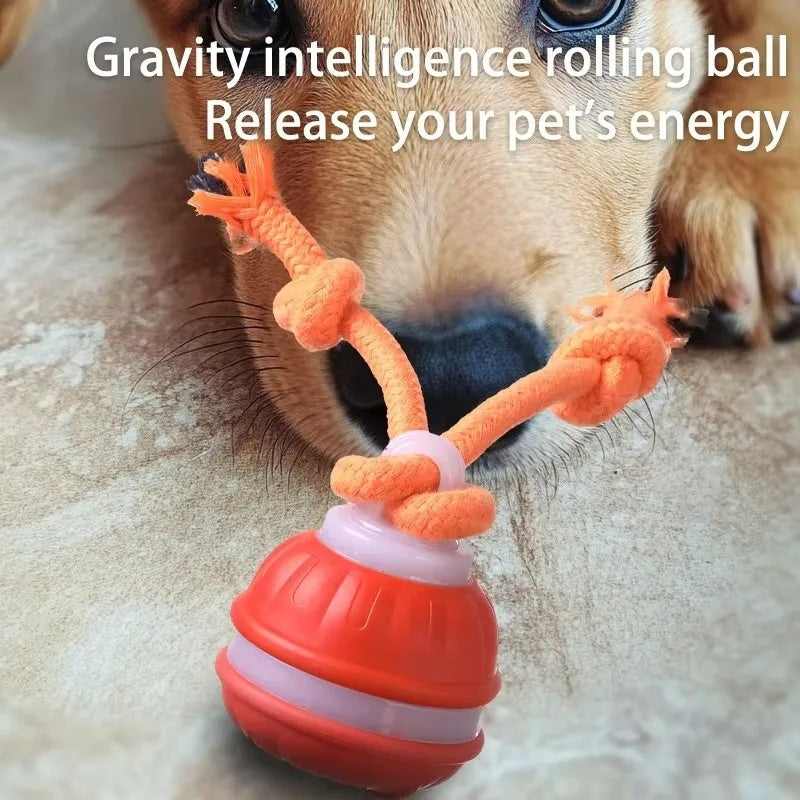 Happy dog sitting behind blue and orange smart rolling ball toys with durable rope handles on a table.
