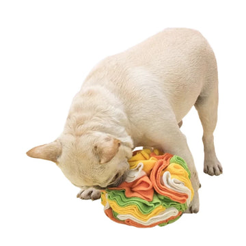 White French Bulldog happily sniffing and playing with a colorful fleece snuffle ball toy