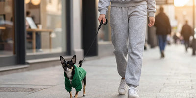 Shop Cool Dog Hoodies: Streetwear Style for Pups