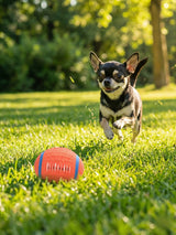 Soft Latex Squeaky Dog Toy Balls - Bouncing Fetch Set (3-Pack Variety)