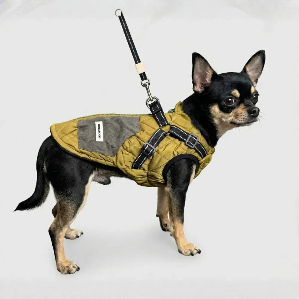 The Gentleman's Corduroy Quilted Dog Vest