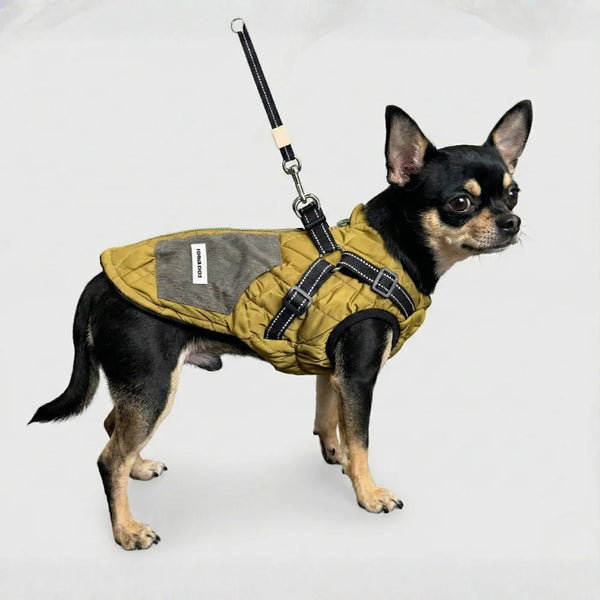 The Gentleman's Corduroy Quilted Dog Vest