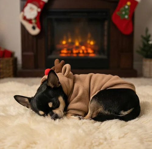 Sleeping small dog curled up by a fireplace wearing cozy Reindeer Fleece pajamas for Chihuahuas.
