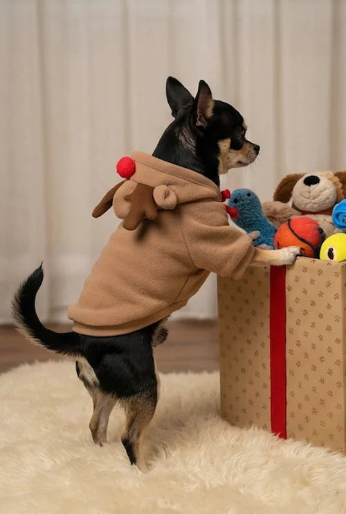 Side view of a Chihuahua standing on hind legs wearing a brown Reindeer Dog Costume with red bow detail showing perfect fit.