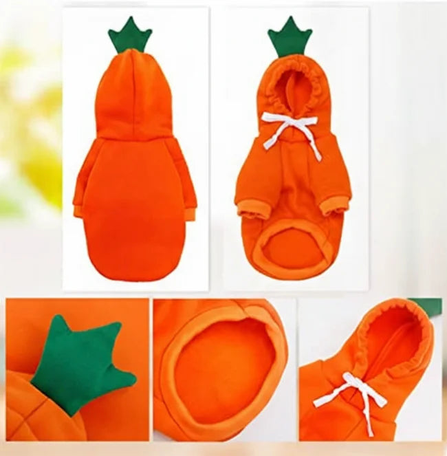 Front and back view of the Carrot Dog Hoodie showing the high-cut tummy design, soft fleece lining