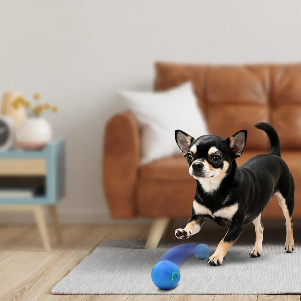 Smart Jumping Ball